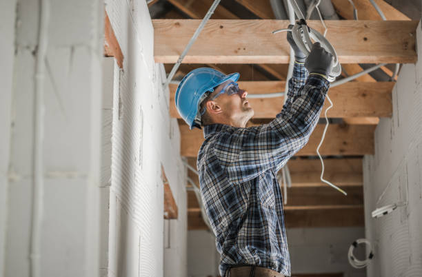 Best Electrician for Home Renovation  in Danvle, IL